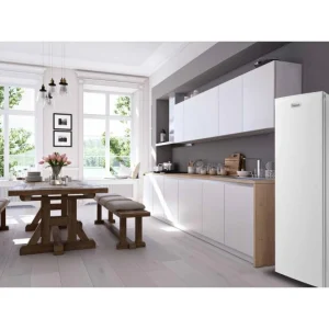 Retour gratuit en magasin. FRIGELUX CA160BF Congélateur Armoire 160L 42dB Froid Ventilé Porte Réversibl… 9