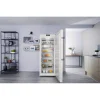 soldes ligne Congélateur Armoire Bauknecht GKN 2173 A3+ 7 Tiroirs 19