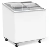 Protections acheteurs Congélateur Bahut Couvercle En Verre – 200 Litres – Combisteel – R600… 14